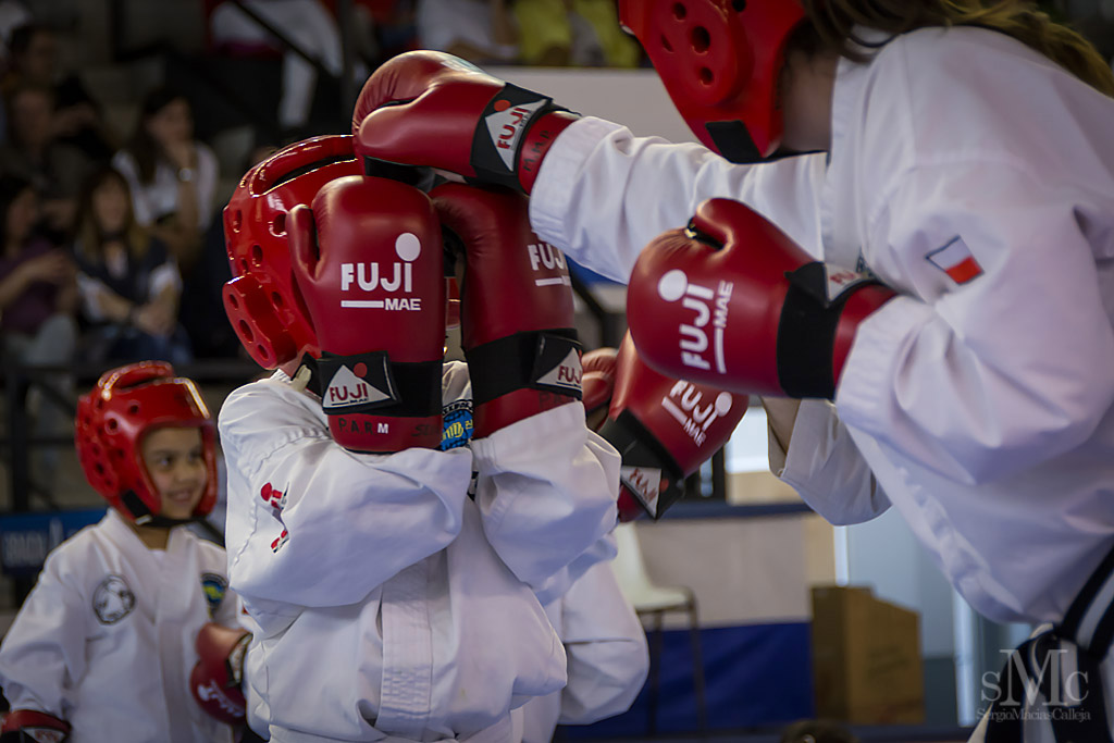 DIA DEL TAEKWONDO ABRIL 2017_3862.JPG